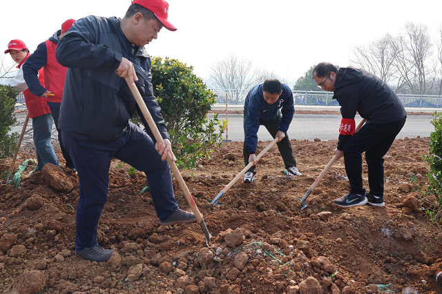 植樹(shù)節(jié)2